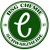 Vorschau:BSG Chemie Schwarzheide e. V.