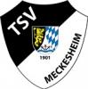 Vorschau:TSV 1901 Meckesheim e.V. - Abteilung Handball