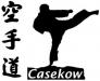 Vorschau:Karate Casekow