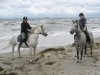 Vorschau:Reiten, Sport und Freizeit