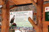Vorschaubild für: Greifvogelstation „Försterei Oppelhainer Pechhütte“