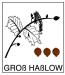 Vorschau:Groß Haßlow