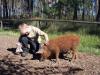 Vorschaubild von: Haustierpark und Wildpferdgehege Liebenthal