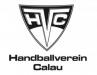 Vorschau:Handballverein Calau