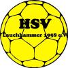 Vorschau:Handballsportverein Lauchhammer 1958 e.V.