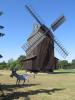 Vorschau:Paltrockwindmühle Schönewalde