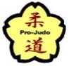 Vorschau:Pro-Judo e.V.