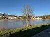 Vorschau:Ferienhaus am Moselufer
