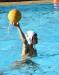 Foto zu Meldung: Wasserball-D-Jugend zieht in deutsche Endrunde ein