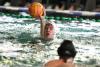 Foto zu Meldung: OSC im Land weiter Spitze: Potsdams Wasserballer holen vier Nachwuchs-Landesmeisterschaften