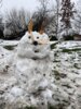 Meldung: Juchhu, der erste Schnee!