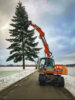 Meldung: Der Weihnachtsbaum für das Putlitzer Rathaus