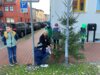 Vorschaubild der Meldung: Weihnachtsbäume in der Laager Innenstadt geschmückt