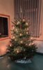 Meldung: Weihnachtsfeier 2024