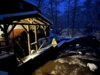Meldung: Adventsstimmung am Mühlenrad