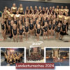 Vorschaubild der Meldung: Landesturnschau 2024