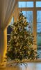 Meldung: Frohe Weihnachten und einen Guten Rutsch ins Neue Jahr 2025