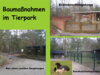Meldung: Winter im Tierpark