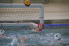 Meldung: Wasserball Landespokal U14 Endrunde + Trainingsspieltag U12