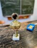 Meldung: Projekt „Winners of Competence“ am TGSBBZ Saarlouis