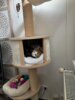 Meldung: Karlchen und Minnie