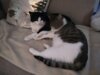 Meldung: Bob und Nelly