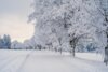 Meldung: Der Winter ist da