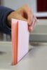 Meldung: Bundestagswahl am 23. Februar 2025