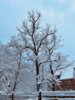 Winterimpressionen
