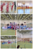 Meldung: Abteilung Basketball: 1. Heimturnier der U8