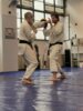 Meldung: Erfolgreiches Karate-Seminar mit Sensei Reuven Sharf