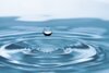 Meldung: Wer macht mit beim großen SH-Klimathon 2025?