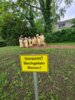 Meldung: Bee-News