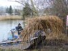 Meldung: Schilfmahd auf dem Sackteich durchgeführt