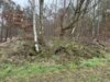 Meldung: Erneute illegale Entsorgung von Gartenabfällen im Hainholz