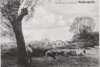 Meldung: Dorfgeschichten von und um “de Nateheide“