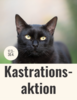 Meldung: Kastrationsaktion für "Streunerkatzen"