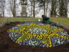 Vorschaubild der Meldung: Bunte Blumen für die Rolandstadt - Stadtwappen am Stadtpark wieder bepflanzt