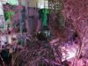 Meldung: Eine Nacht im Zeichen der Naturwissenschaften