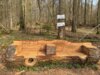 Meldung: Neues Waldsofa (Eigenkreation) am Merzhäuser Rundwanderweg