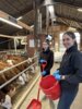 Meldung: Pressemitteilung: Volles Programm - Zukunftstag in der Landwirtschaft