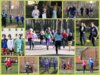 Meldung: Gelungene Crosslauf-Premiere bei herrlichem Sonnenschein
