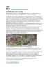 Meldung: Gartenabfälle gehören nicht in den Wald!