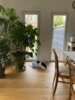 Meldung: Katze Flocke