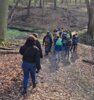 Meldung: Der vierte Jahrgang im Wald