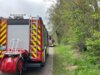 Meldung: TH K DL -Katze im Baum