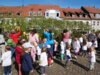 Vorschaubild der Meldung: Bei Kindergesang wird der Perleberger Maibaum aufgestellt – 300 Kita-Kinder schmücken 13 Meter hohe Birke