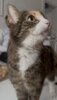 Meldung: Lola und Monty