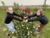 Vorschaubild der Meldung: Blumige Überraschung