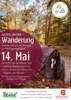 Meldung: Energie tanken beim Tag des Wanderns
